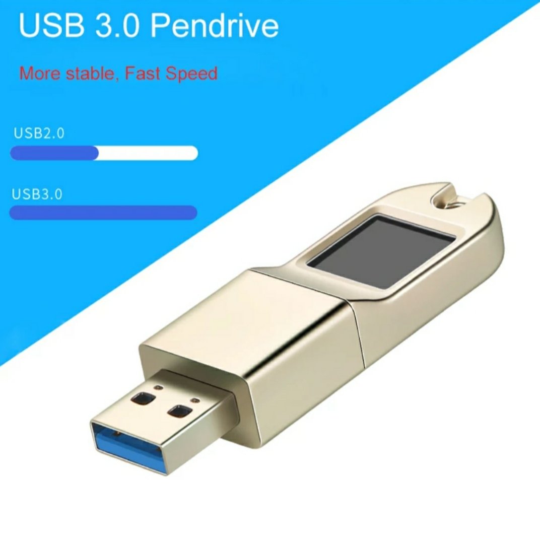 Encrypted Pen Drive (128 GB)