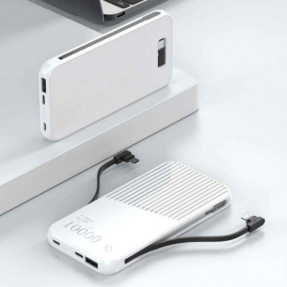 Raxfly® Power Bank with Inbuilt Cable