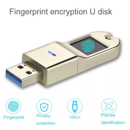 Encrypted Pen Drive (128 GB)