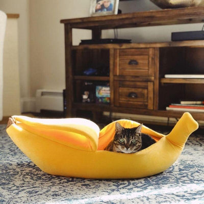 cute banana bed for cats