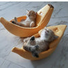 cute banana bed for cats