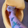 cute banana bed for cats