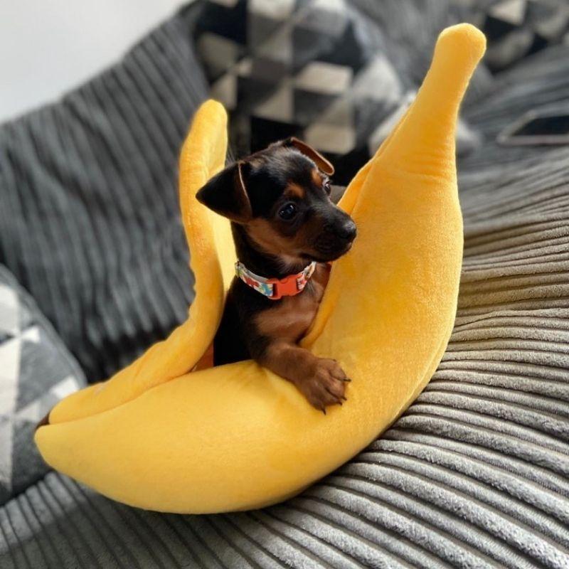 cute banana bed for cats