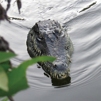 crocodile RC boat 