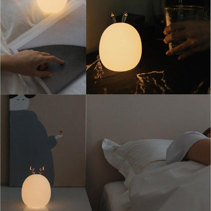 applications of the lamp 