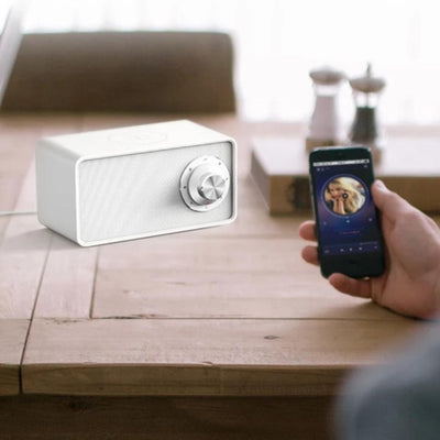 speaker connected to the smartphone