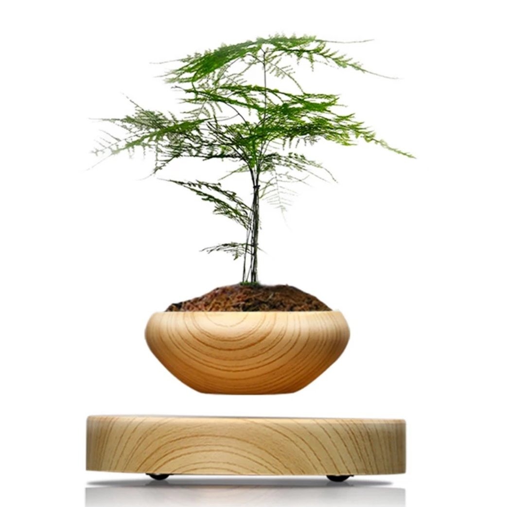 levitating plant pot 