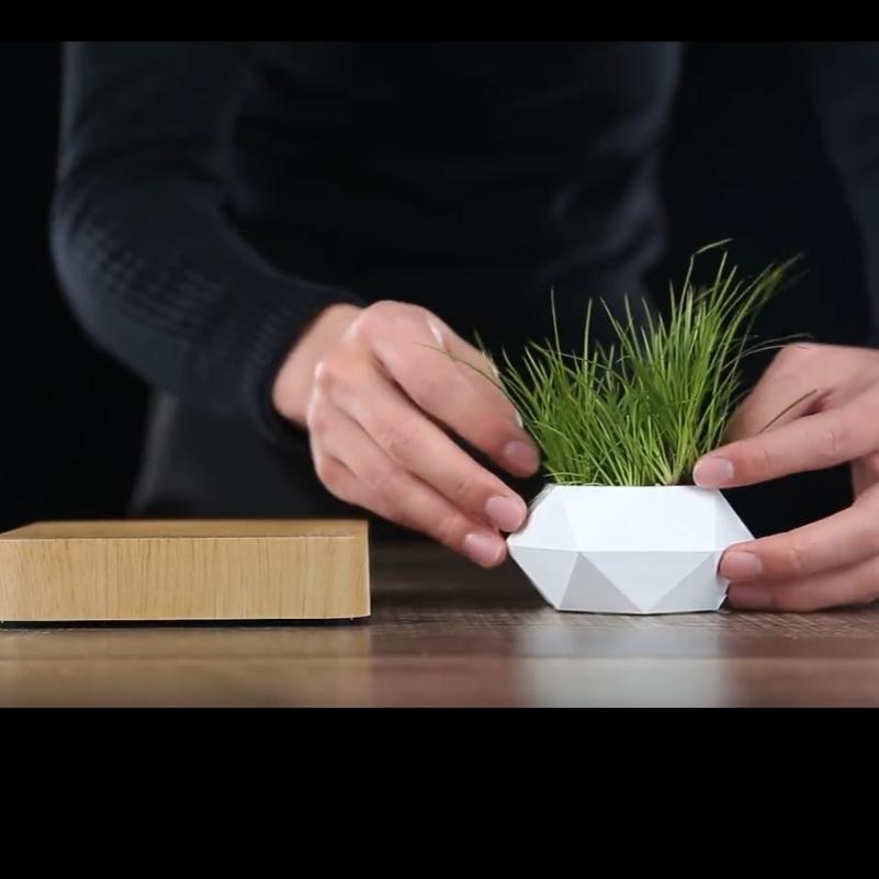 a person using the levitating plant pot 