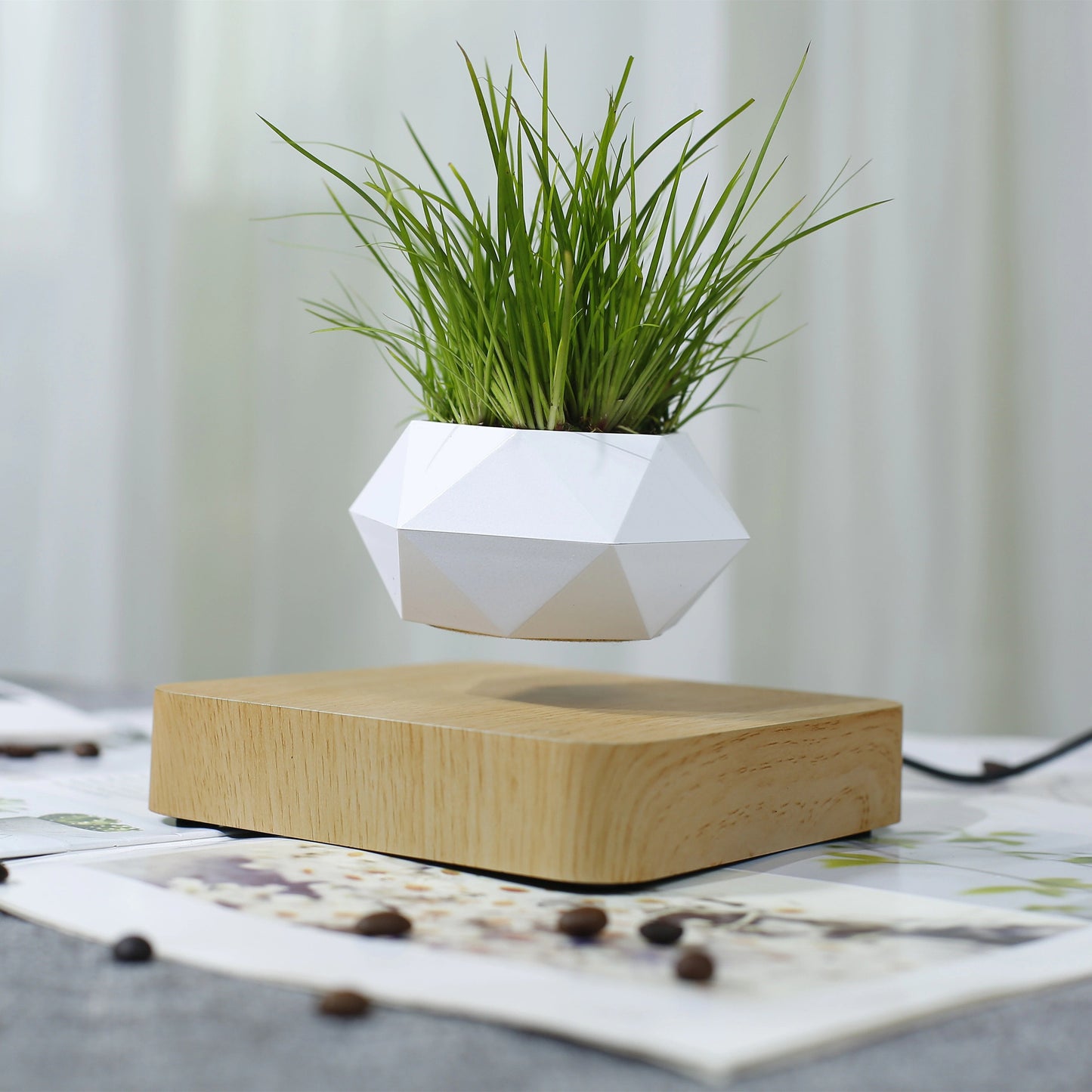 levitating plant pot 