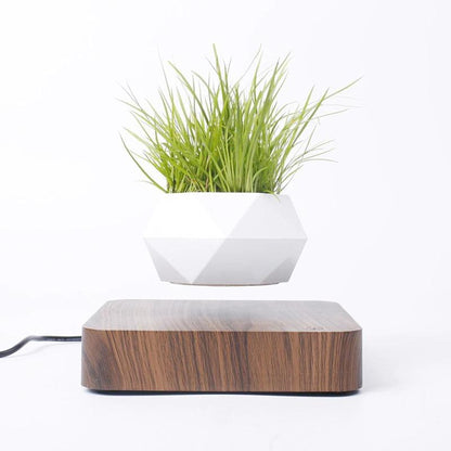 levitating plant pot 