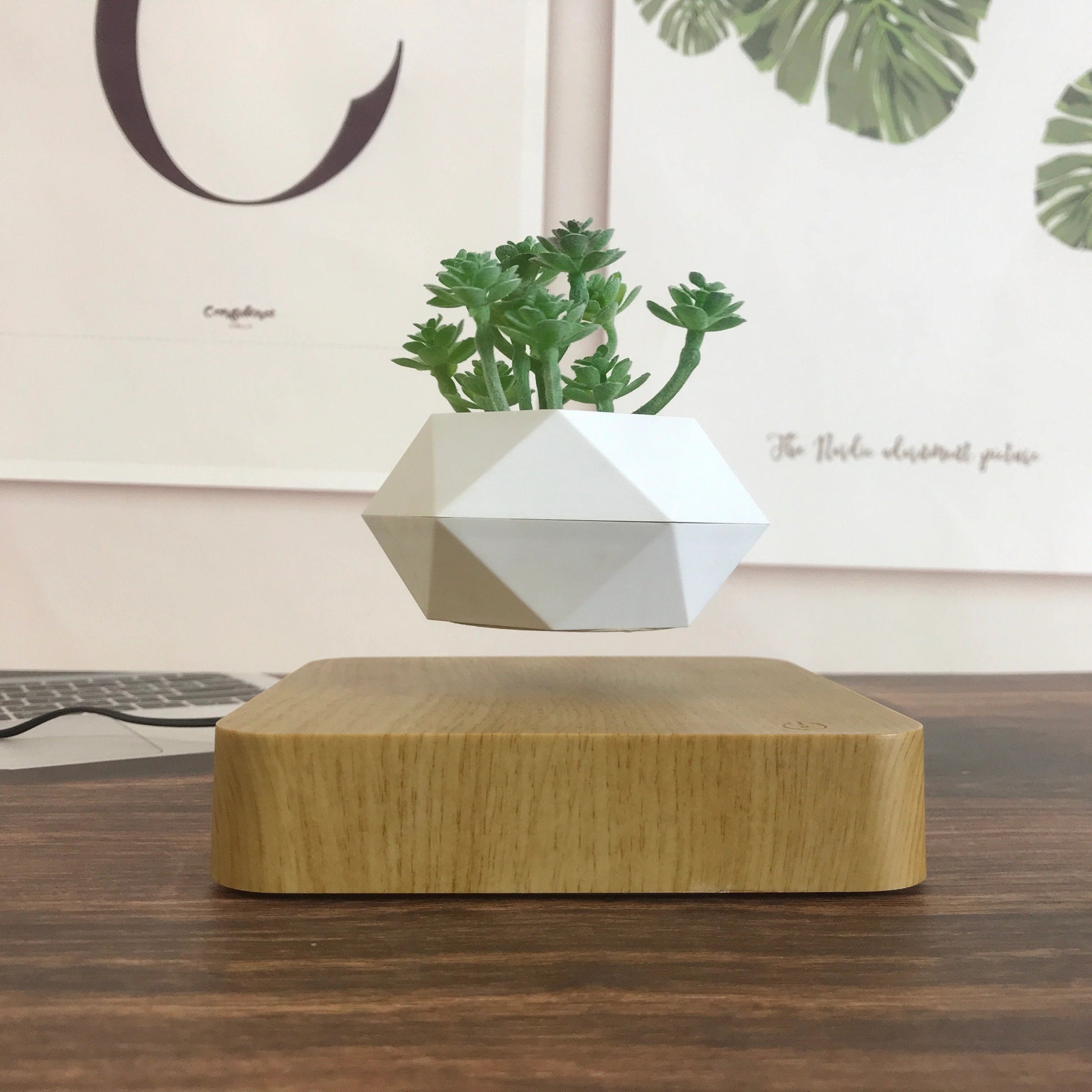 levitating plant pot 