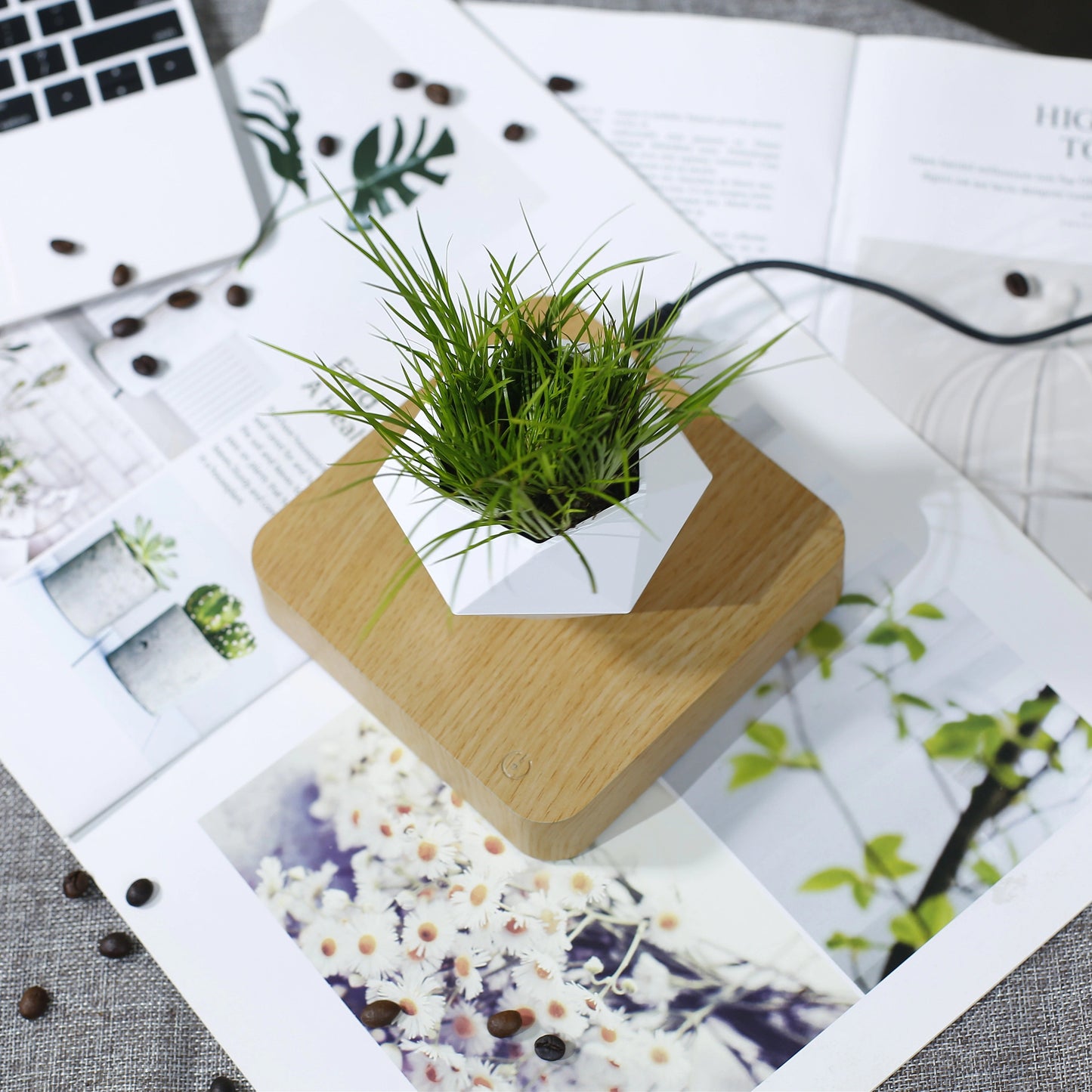 levitating plant pot 