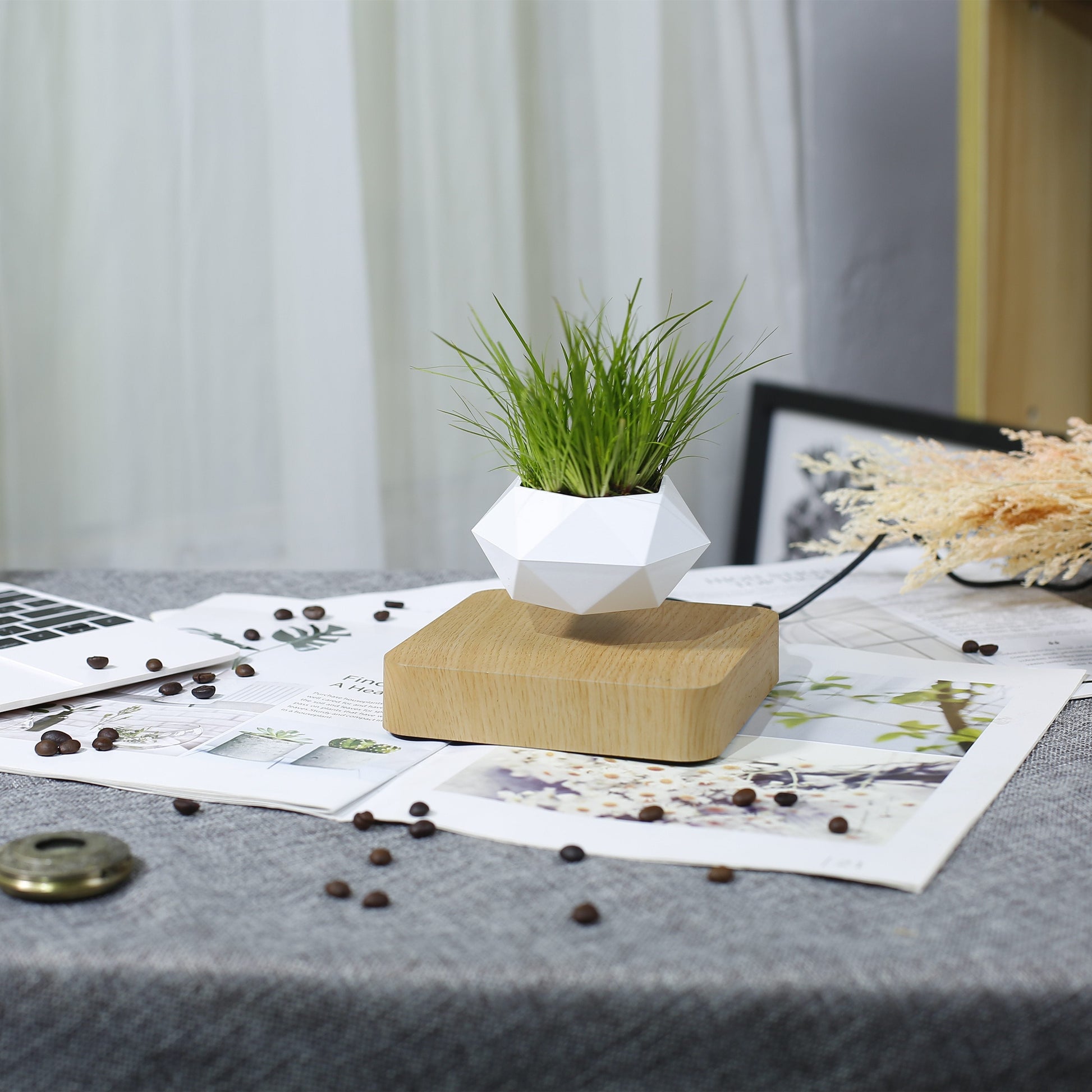 levitating plant pot 