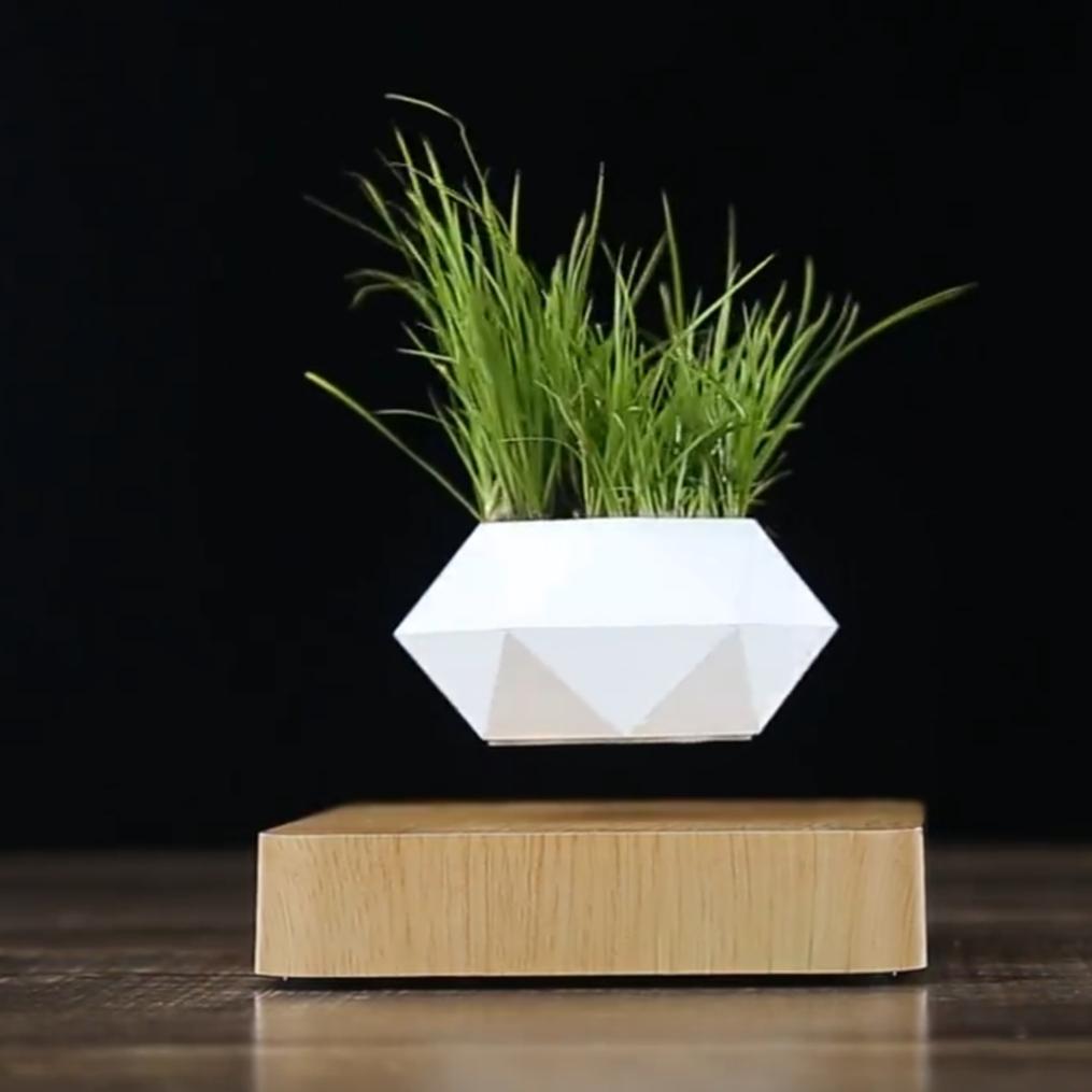 levitating plant pot 