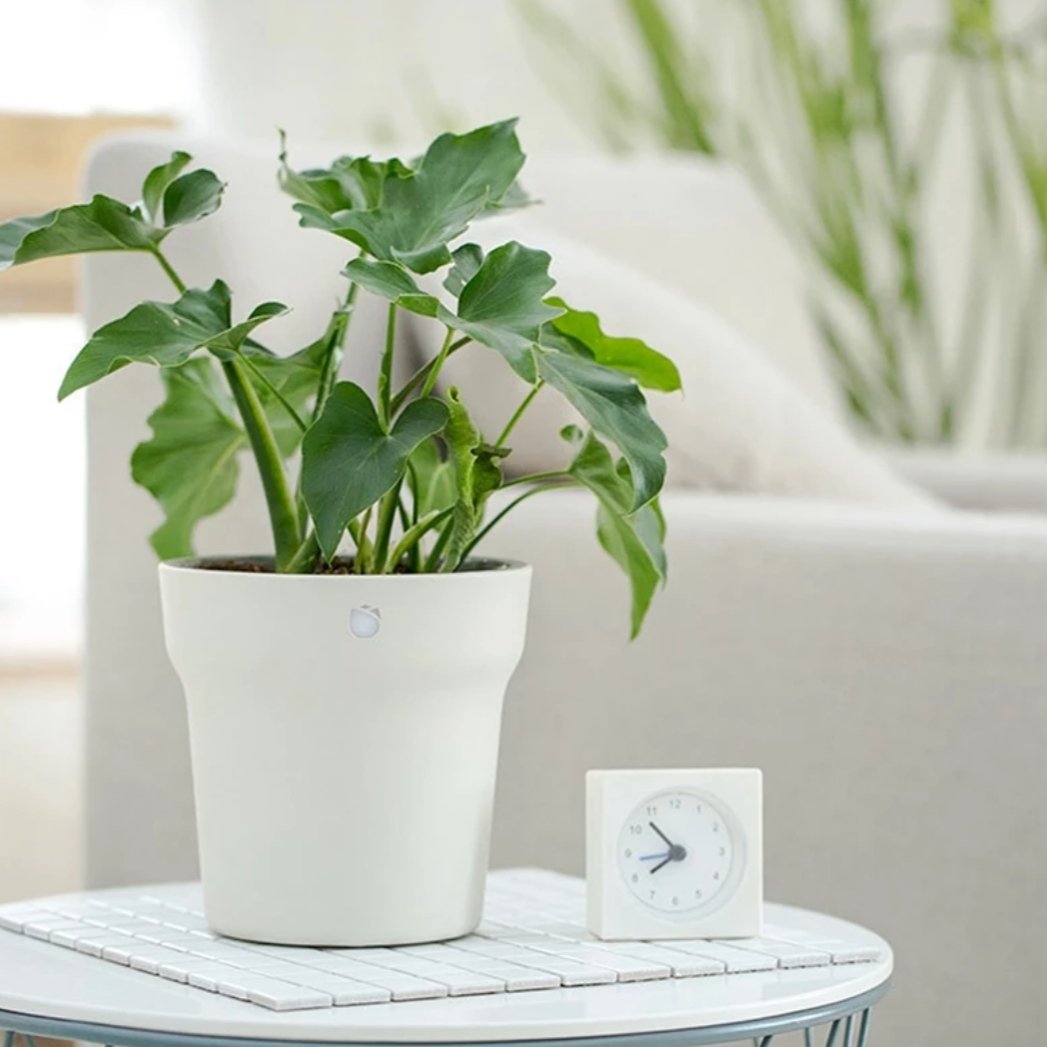 smart pot for plants 