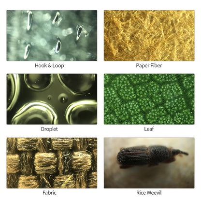 applications of the Tipscope phone microscope 